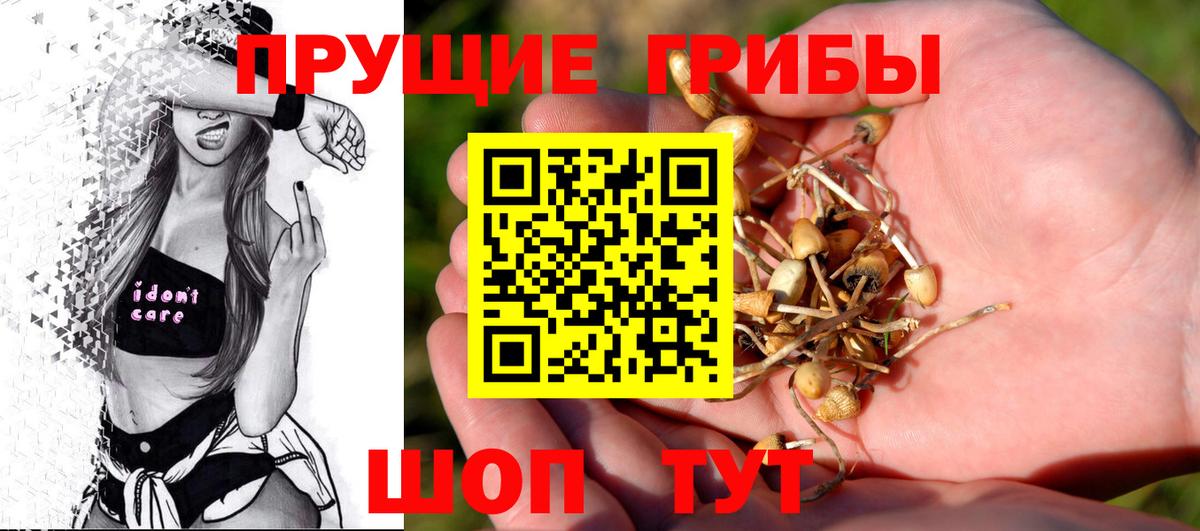 Псилоцибиновые грибы GOLDEN TEACHER Краснокаменск